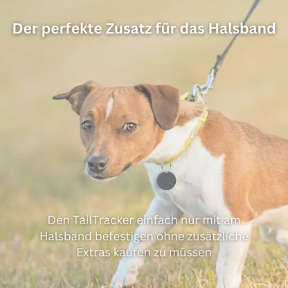 TailTracker